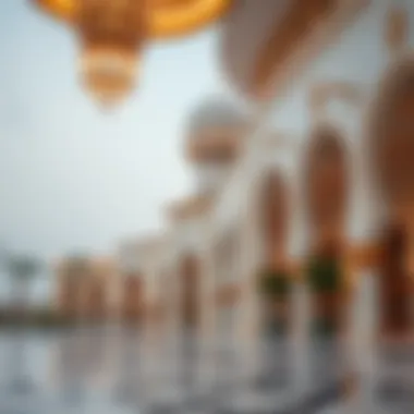 Magnificent A Comprehensive Exploration of Emax Al Zahia