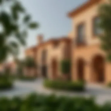 Architectural Elegance of European Influences Charming European architecture in Dubai countryside village