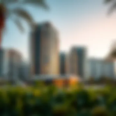 Real estate options for expatriates in Dubai