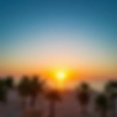 Sunset over Al Shatti Al Miftah, illuminating the beach and surrounding palm trees