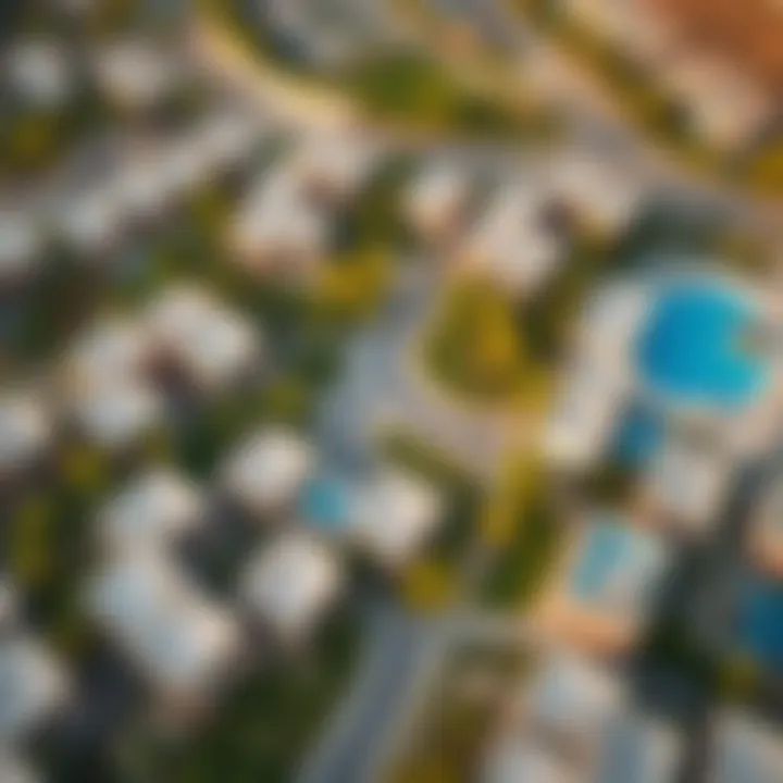 Aerial view of Nad Al Hamar Village showcasing its unique layout and greenery