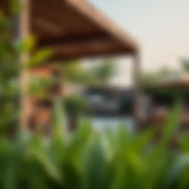 An eco-friendly barbecue venue surrounded by nature