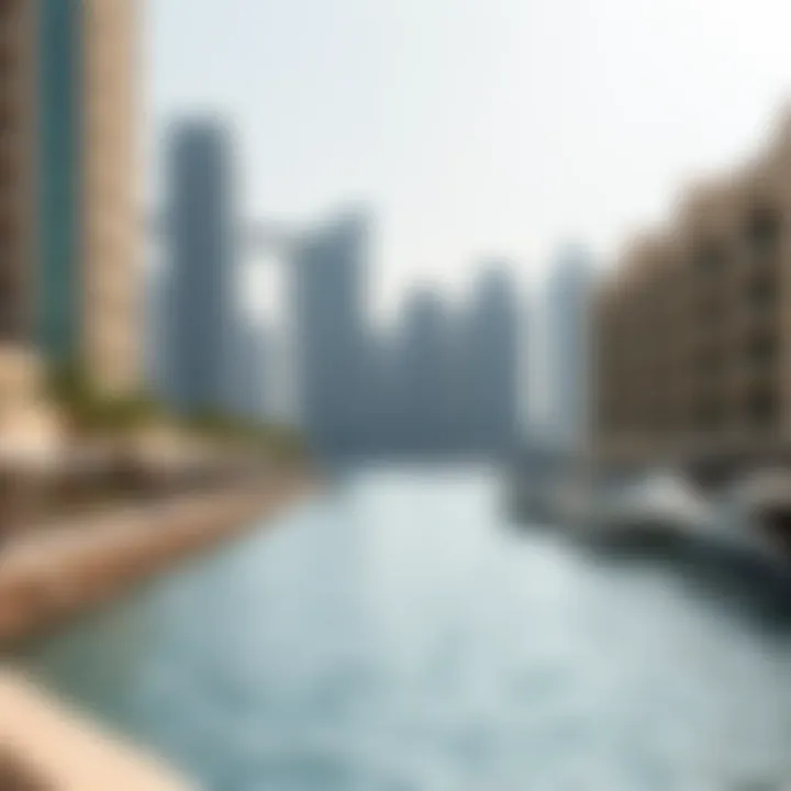Tranquil waterfront area with recreational activities in Dubai Marina