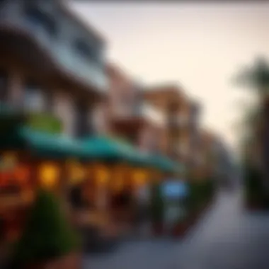 A vibrant neighborhood in Dubai with local amenities