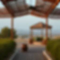 Exploring the Charms of Safaris in Muelih Introduction