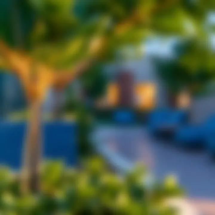 Amenities That Enhance Life in Thembazra Alkhadra Community amenities in Thembazra Alkhadra