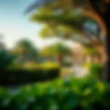 The Vibrant Greenery of Thembazra Alkhadra Lush greenery at Thembazra Alkhadra