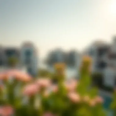 Luxurious villa complexes with modern architecture nestled in lush greenery on Jumeirah Bay Island