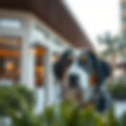 Navigating Dubai Municipality Rules for Pets Introduction