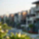 Scenic view of a popular expat neighborhood in Dubai showcasing modern architecture