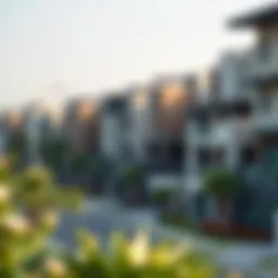 Scenic view of a popular expat neighborhood in Dubai showcasing modern architecture
