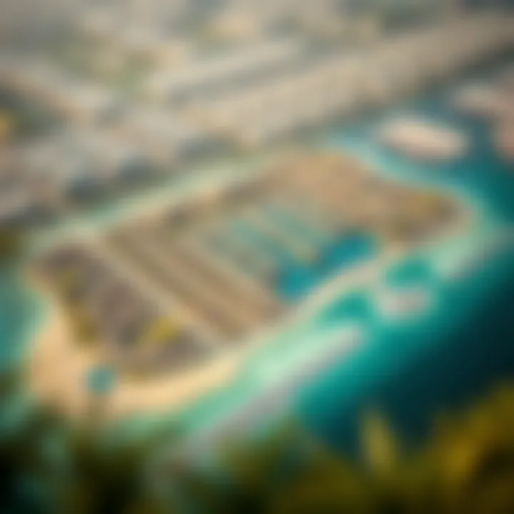 Detailed Layout of Palm Jebel Ali Conceptual layout of Palm Jebel Ali highlighting residential and commercial zones.