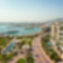 Panoramic view of Palm Jumeirah Walk showcasing luxury residences and lush landscapes