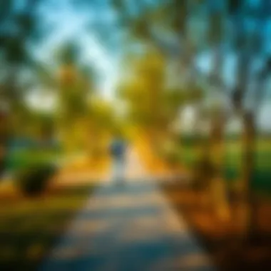 Scenic Walking Path in Umm Al Emarat Park A serene walking path lined with trees, inviting visitors to explore the park