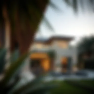 Understanding Open Houses in Dubai's Real Estate Market Summary