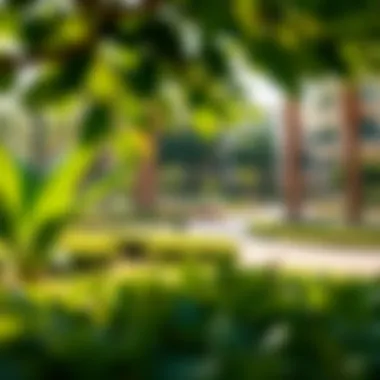 Lush Greenery and Recreation at Yas Water Edge Lush greenery and recreational areas within Yas Water Edge